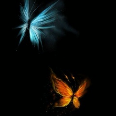 Villi Tom's, Санкт-Петербург