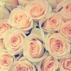 Aizhan Zhorabekova, 13.02, Балхаш