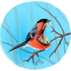 User Dead, 03.06, Санкт-Петербург