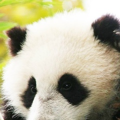 Влад Буренин, 31.03, Николаев