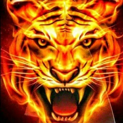 Zarni Myo, 12.12.1983