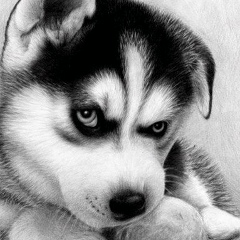 Славик Данчук, 29.04.1988, Черновцы