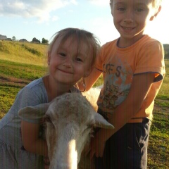 Александр Ефименко, Нижневартовск