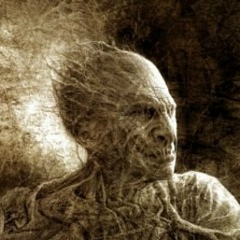 Никита Кулешов, 06.06.1977, Санкт-Петербург