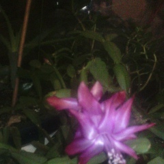 Леша Басов, 20.05.2011, Москва