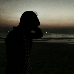 Monkey-D Luffy, 06.05.1995