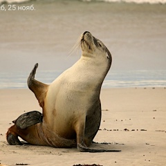 Александр Ивов, 14.12