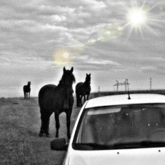 Джандар Кочкаров, 10.03.1969, Ставрополь