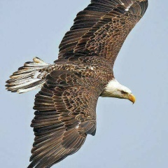 Phyo Thurain, 06.08.1992