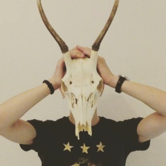 Eclipse Elekktrobolt, 21.12.1990, Киев