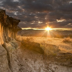 Петя Бойко, Винница