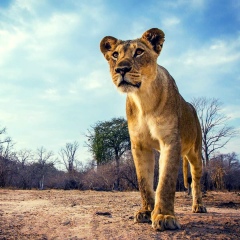 Dastan Esimhanov, 30.12, Усть-Каменогорск