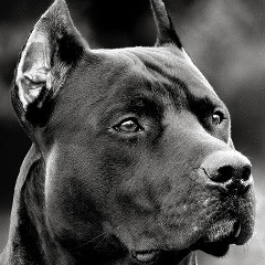 Алексей Дзюгевич, 20.10.1989, Днепр (Днепропетровск)