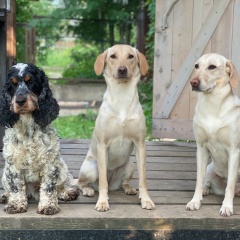 Михаил Есеновский, 14.11, Санкт-Петербург