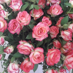 Екатерина Клим, 29.05, Петрозаводск