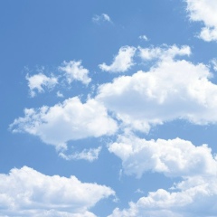 Александр Саценко, 07.04.1984, Санкт-Петербург