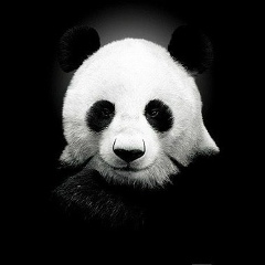 Динар Мангушев, 01.02, Москва