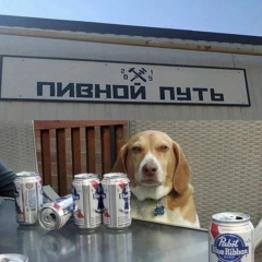 Вадим Кузнецов, 17.09, Сочи