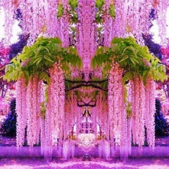 Кыял Утебаева, 01.04, Москва