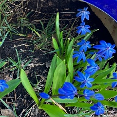 Irina Karabinevskaya, Нижний Тагил