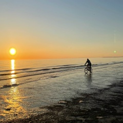 Павел Козко, 24.08.1984, Санкт-Петербург