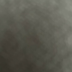 Elena Slavina, 01.01.1969, Томск