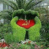 Амангул Сегзекова, Актау