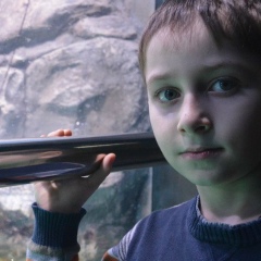 Владимир Микаелян, Москва