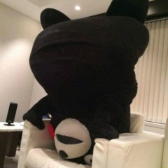 Анастасия Бугрим