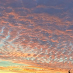 Артем Охрименко, 15.10