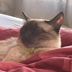 Жанна Садурская, 22.06.1973, Berlin