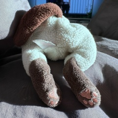 Алефтина Андропова, 14.10, Санкт-Петербург