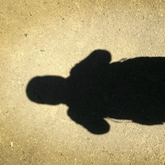 Дима Петров, Николаев