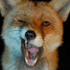 Daria Sladkaya, 07.07, Москва