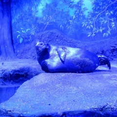 Мария Никулина, 19.06, Белгород