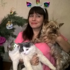 Alla Aloha, Санкт-Петербург