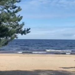 Люба Егоренкова, Вологда