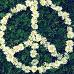 Елена Кортышко, Санкт-Петербург