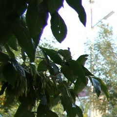 Мадина Абдул-Вахидовна, 18.10.1974, Грозный