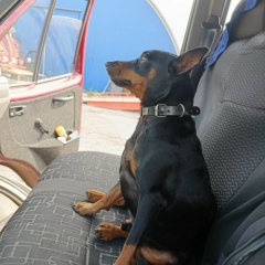 Дмитрий Гоголев, 21.05.1983, Санкт-Петербург