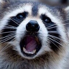 Александр Бузилов, 20.09.1990, Москва