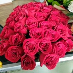 Наталья Ахмеева, Казань