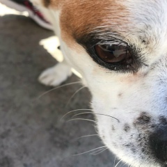 Кристина Малахова, 30.11, Краматорск