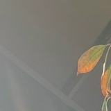 Артур Марикян, 17.10, Сочи