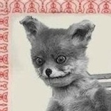 Кирилл Ментовский, 11.02, Санкт-Петербург