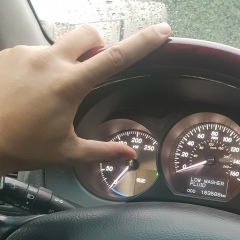 Dima Gulish, 29.06, Алматы