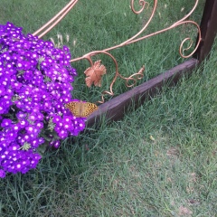 Катя Джугань, 05.12.1984, Ростов-на-Дону