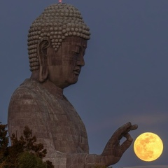 Марат Муртазин, 31.12.1985, Казань