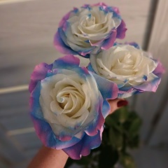 Анна Лупова, 03.11, Некрасовское