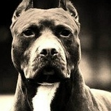 Илья Донской, 18.03.1991, Москва